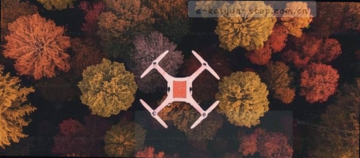 午后阳光斜照进工作室窗边木桌上摊开的笔记本泛着毛边